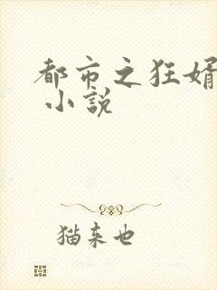 都市之狂婿战神 小说