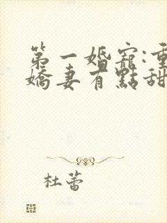 第一婚宠:重生娇妻有点甜