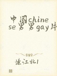 中国chinese男男gay片
