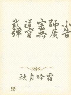武道宗师小说无弹窗无广告