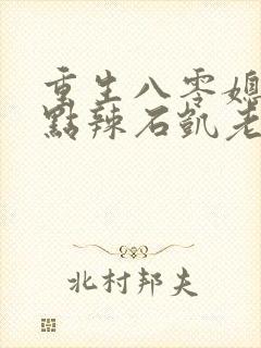 重生八零媳妇有点辣石凯老婆结局封面