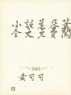 小说叶辰萧初然全文免费阅读