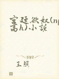 宫廷欲奴(np高h)小说