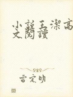 小说王洁高义全文阅读封面