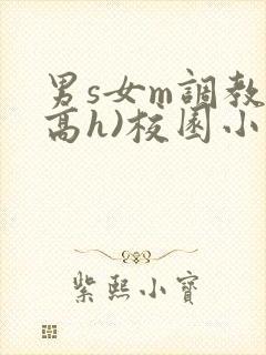 男s女m调教(高h)校园小说封面