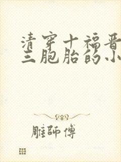 清穿十福晋生了三胞胎的小说