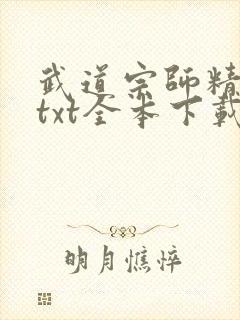 武道宗师精校版txt全本下载