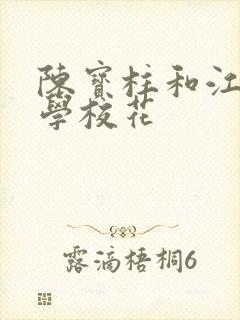 陈宝柱和江南大学校花