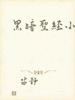 黑暗圣经小说