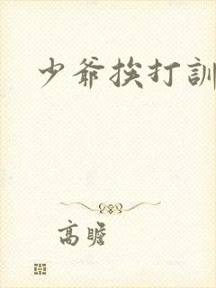 少爷挨打训诫文封面