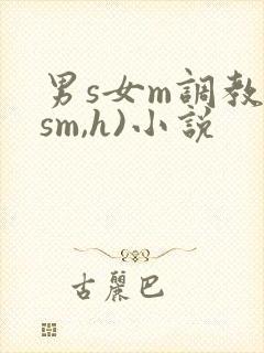 男s女m调教(sm,h)小说