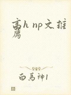 高h np文推荐