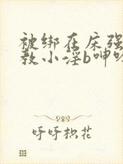 被绑在床强做调教小淫b呻吟h文笔趣阁