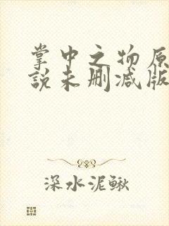 掌中之物原著小说未删减版封面