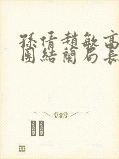 孙倩赵敏高义大团结兰局长