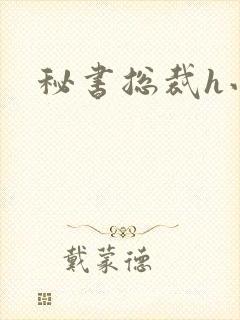 秘书总裁h小说封面