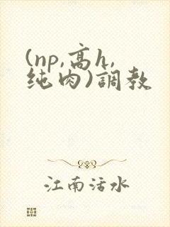 (np,高h,纯肉)调教