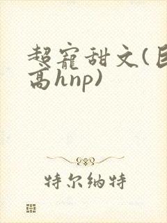 超宠甜文(巨肉高hnp)