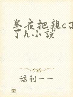 半夜把亲c高潮了h小说