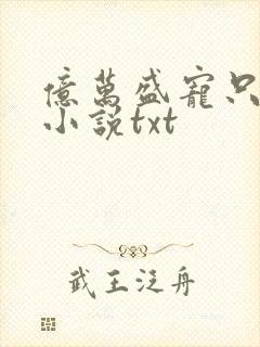 亿万盛宠只为你小说txt