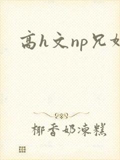 高h文np兄妹封面