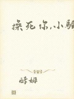 操死你,小骚货