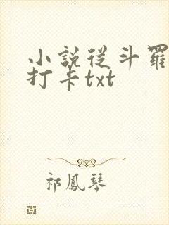 小说从斗罗开始打卡txt