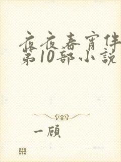 夜夜春宵伴娇媳第10部小说封面