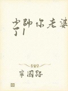 少帅你老婆又跑了1