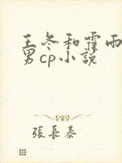 王冬和霍雨浩男男cp小说封面