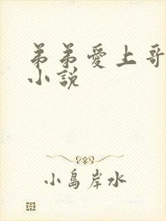 弟弟爱上哥哥的小说