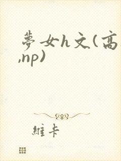 梦女h文(高h,np)封面