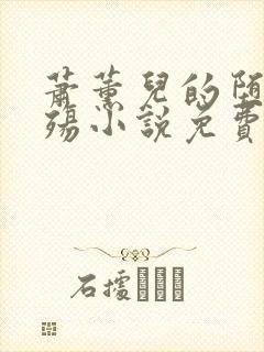 萧薰儿的堕落浮殇小说免费阅读
