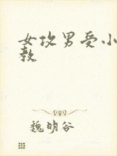 女攻男受小说调教封面