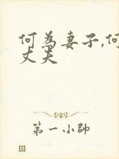 何为妻子,何为丈夫