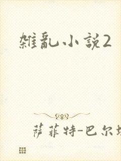 杂乱小说2