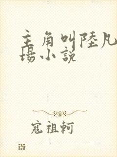 主角叫陆凡的官场小说封面