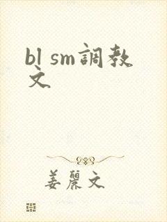 bl sm调教文封面