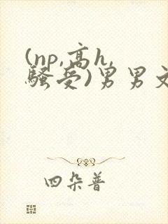(np,高h,骚受)男男文