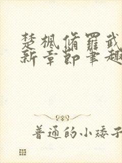 楚枫修罗武神最新章节笔趣阁