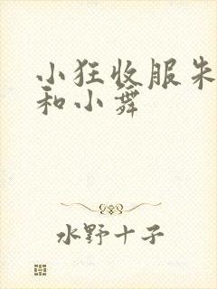 小狂收服朱竹清和小舞