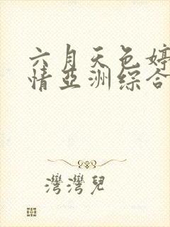 六月天色婷婷激情亚洲综合