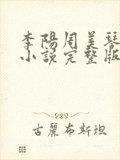 李阳周美琴王宇小说完整版封面