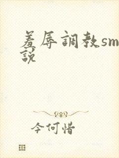 羞辱调教sm小说封面