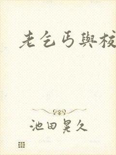 老乞丐与校花封面