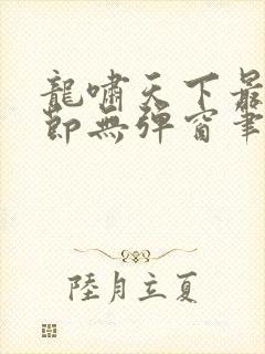 龙啸天下最新章节无弹窗笔趣阁