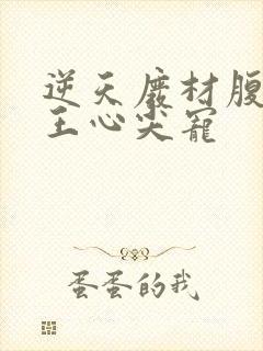 逆天废材腹黑邪王心尖宠