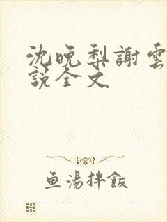 沈晚梨谢云迟小说全文