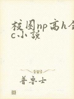 校园np高h全c小说