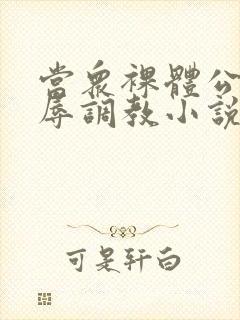 当众裸体公开羞辱调教小说封面